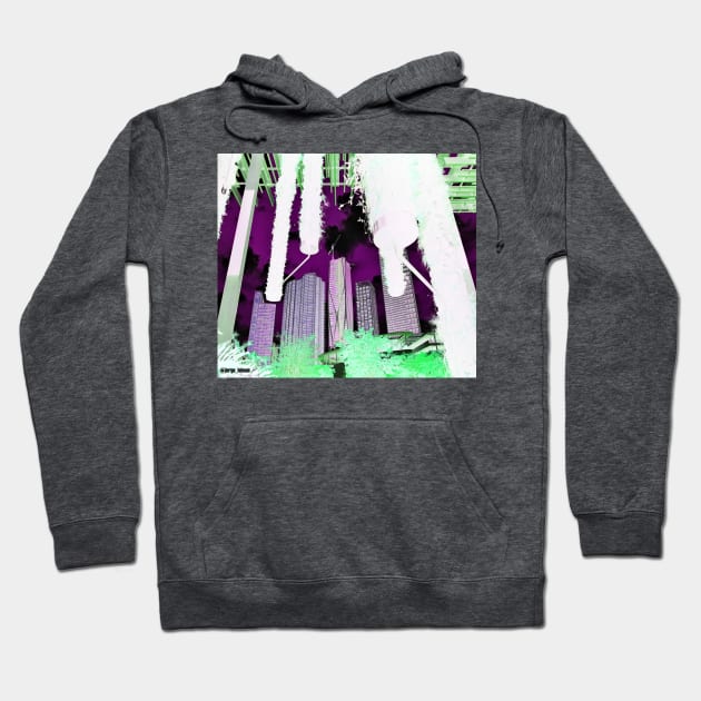 gardens in miami city Hoodie by jorge_lebeau